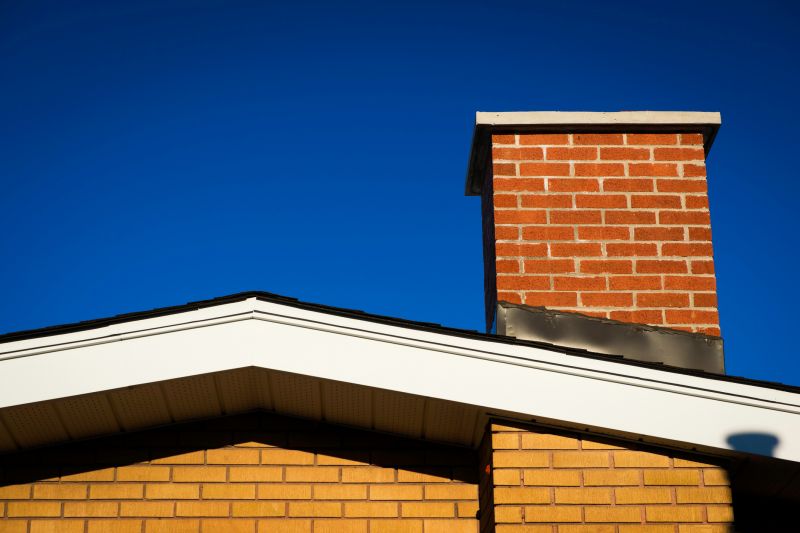 Chimney Inspection Service detail